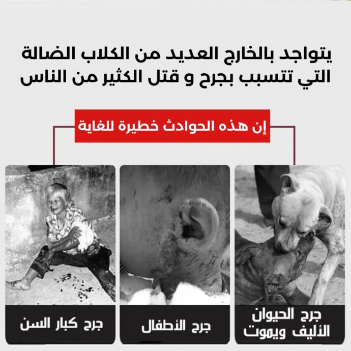⁦جهاز BarkStop لطرد الكلاب و القطط الضالة⁩ - الصورة ⁦3⁩